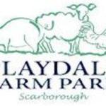 Playdale farm park cayton